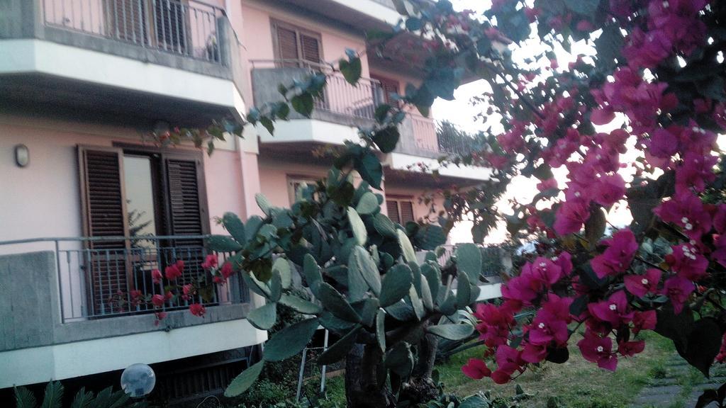 Gli Aranci Dell'Etna Villa Mascali Luaran gambar